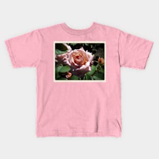 Pale Pink Rose Garden Kids T-Shirt